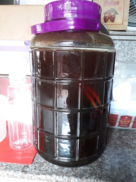 Phổi ngựa bạch ngâm mật ong