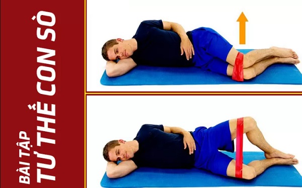 Bài tập động tác con sò (Clam)