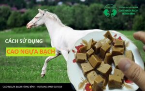 5 Cách sử dụng cao ngựa bạch hiệu quả nhất