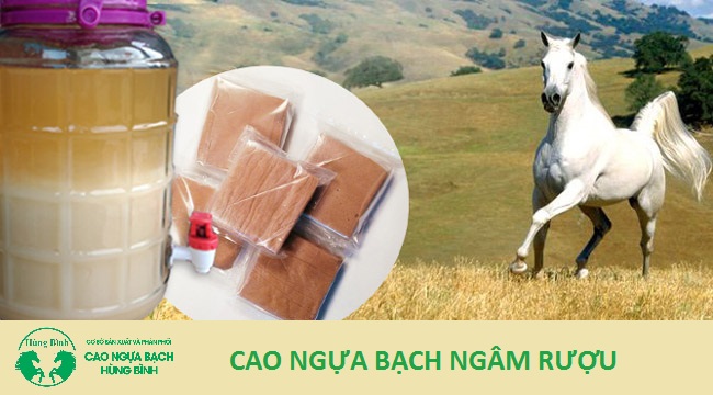 Cách sử dụng cao ngựa bạch ngâm với rượu