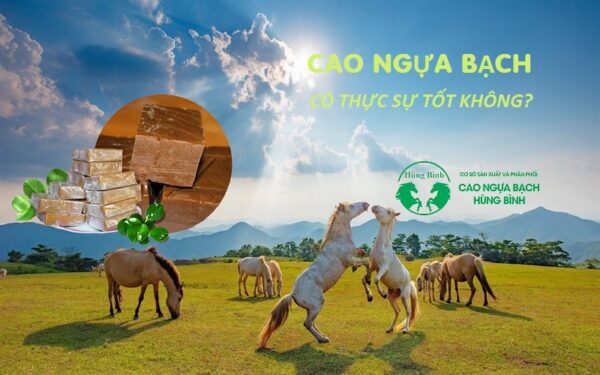 Cao ngựa bạch có thực sự tốt? Cao ngựa bạch có tác dụng gì?