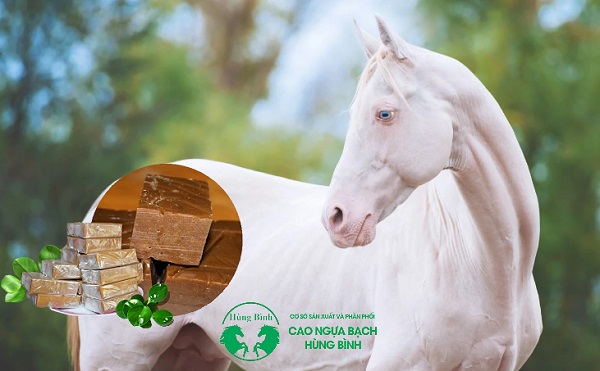 cao xương ngựa bạch