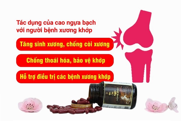 Cao ngựa bạch có thực sự tốt