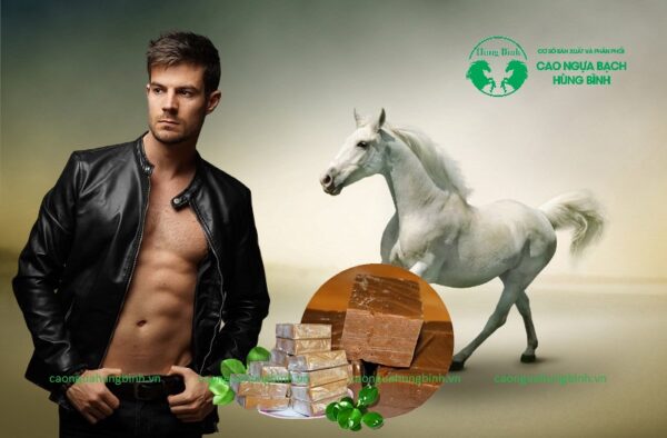 Cao ngựa bạch có tốt cho đàn ông không