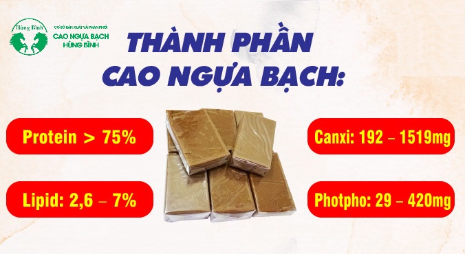 Cao ngựa bạch có tốt cho đàn ông không?