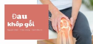 Đau khớp gối: Nguyên nhân, triệu chứng, phòng ngừa và điều trị