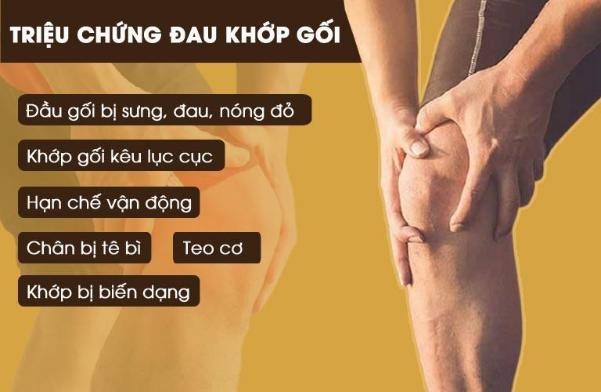 Dấu hiệu triệu chứng