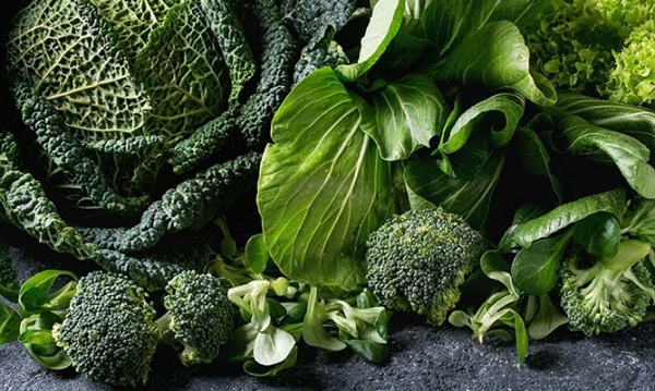 Đau nhức xương khớp nên ăn gì