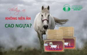 Những ai không nên ăn cao ngựa