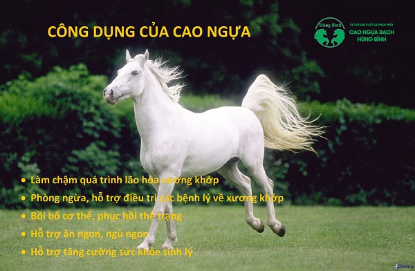 Tác dụng của cao ngựa đối với sức khỏe