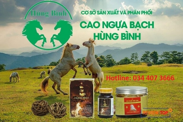 cao ngựa bạch Hùng Bình