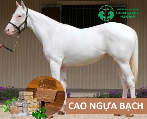 Cao ngựa bạch là gì